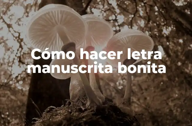 Cómo Hacer Letra Manuscrita Bonita