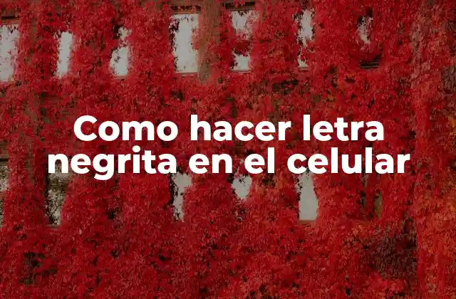 Como Hacer Letra Negrita en el Celular