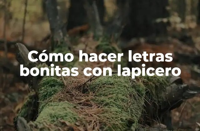 Cómo Hacer Letras Bonitas con Lapicero