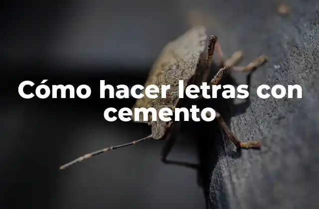 Cómo Hacer Letras con Cemento 2 Cómo hacer letras con cemento