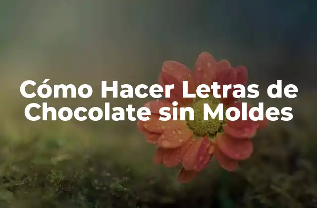 Cómo Hacer Letras de Chocolate sin Moldes