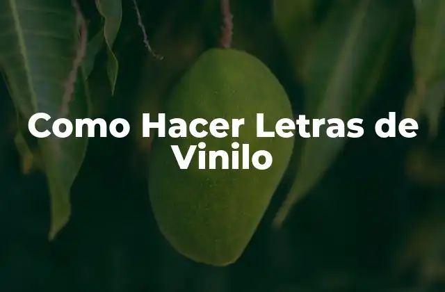 Como Hacer Letras de Vinilo 2 ¿Qué son las Letras de Vinilo y para Qué Sirven?