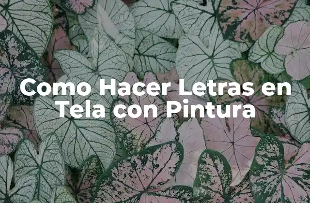 Como Hacer Letras en Tela con Pintura
