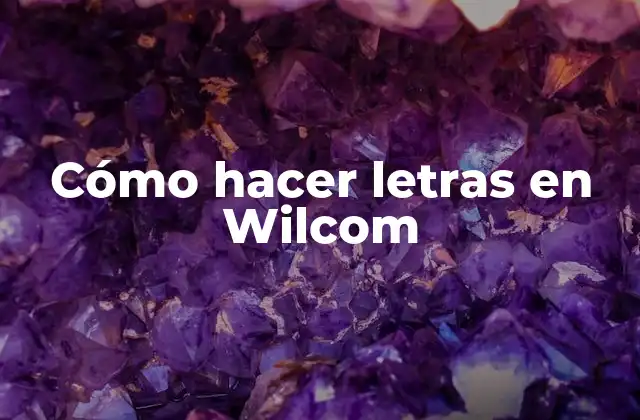 Cómo Hacer Letras en Wilcom