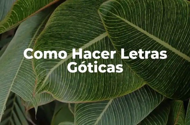 ¿Qué son las Letras Góticas?