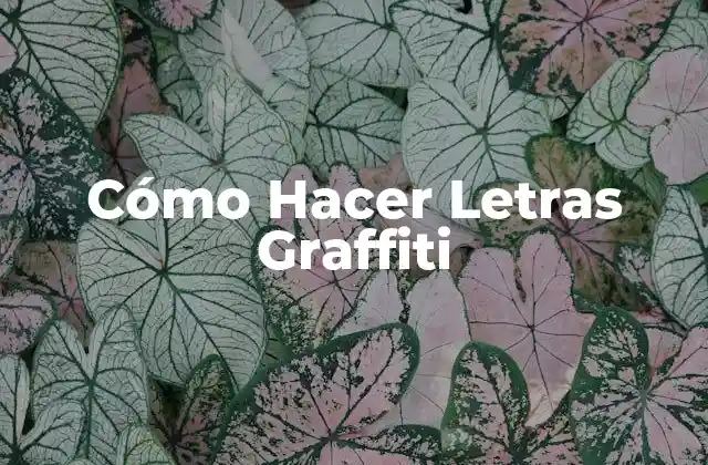Cómo Hacer Letras Graffiti
