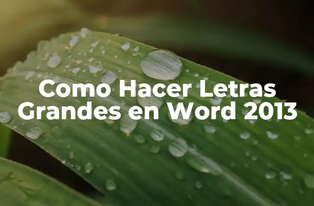 Como Hacer Letras Grandes en Word 2013