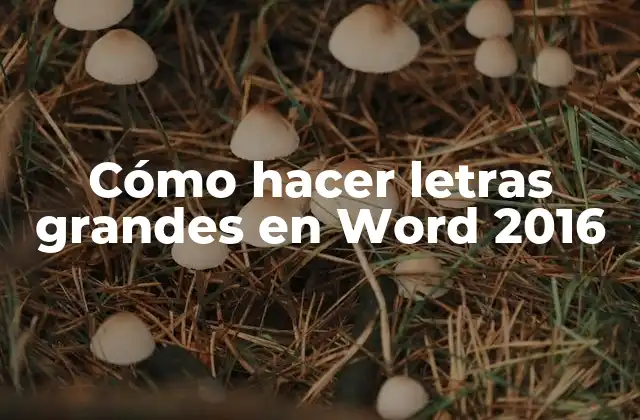 Cómo Hacer Letras Grandes en Word 2016