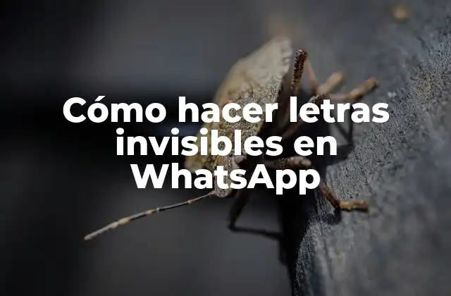 Cómo Hacer Letras Invisibles en Whatsapp