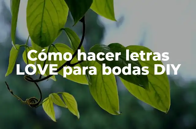 Cómo Hacer Letras Love para Bodas Diy