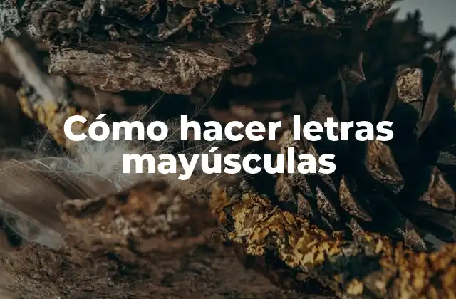 Cómo Hacer Letras Mayúsculas