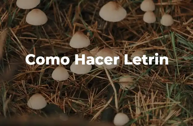 Como Hacer Letrin