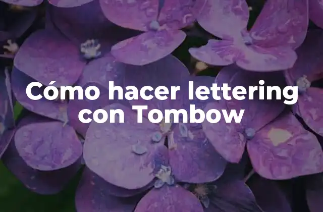¿Qué es el lettering con Tombow?
