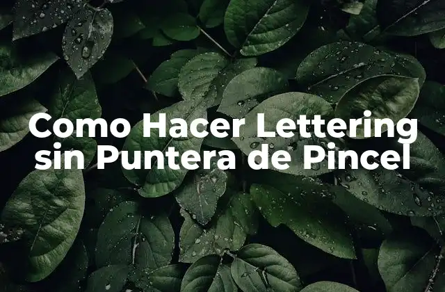 Como Hacer Lettering sin Puntera de Pincel