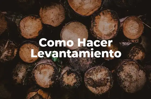 Como Hacer Levantamiento
