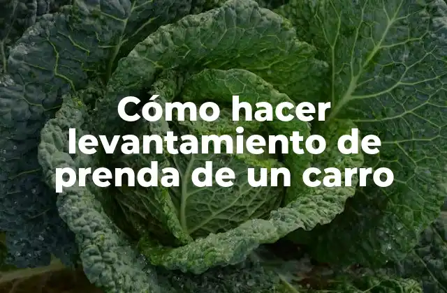 Cómo Hacer Levantamiento de Prenda de un Carro