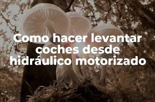 Como Hacer Levantar Coches desde Hidráulico Motorizado