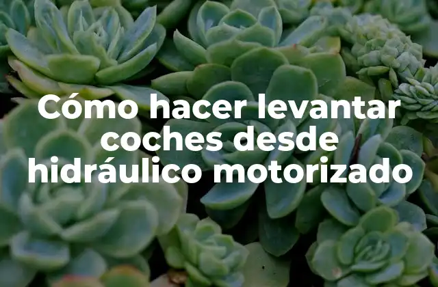 Cómo Hacer Levantar Coches desde Hidráulico Motorizado 2 Cómo hacer levantar coches desde hidráulico motorizado