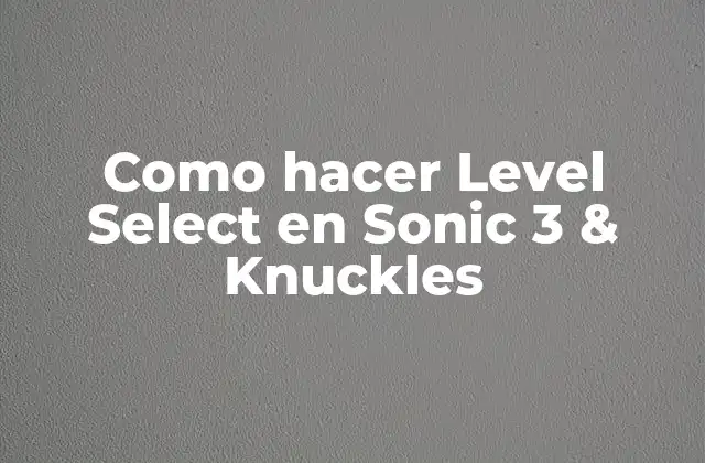 Como Hacer Level Select en Sonic 3 & Knuckles