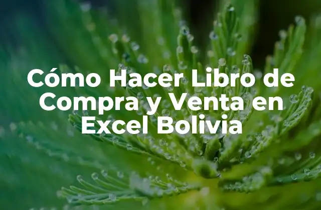 Cómo Hacer Libro de Compra y Venta en Excel Bolivia