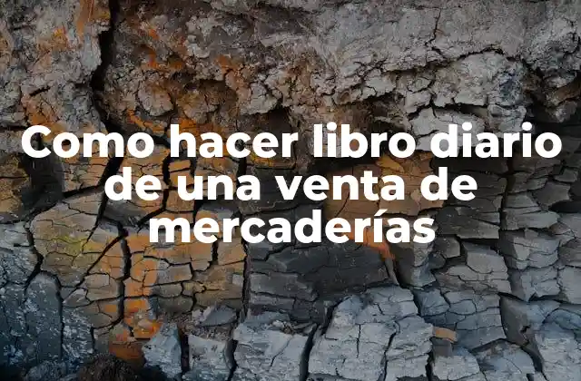 Como Hacer Libro Diario de una Venta de Mercaderías