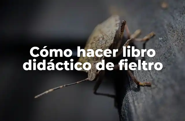 Cómo hacer libro didáctico de fieltro