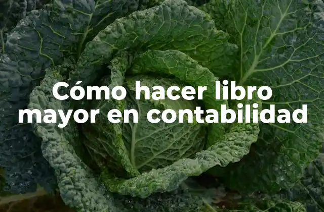 Cómo Hacer Libro Mayor en Contabilidad