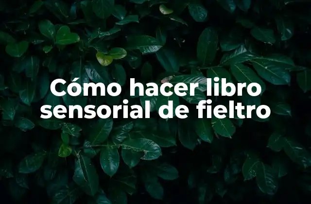 Cómo Hacer Libro Sensorial de Fieltro