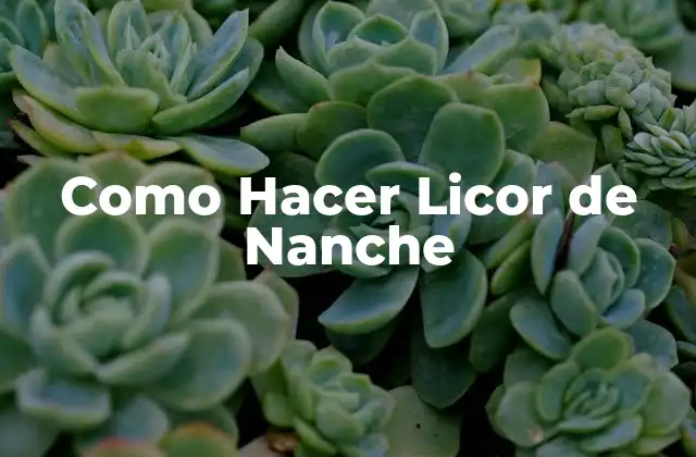 Como Hacer Licor de Nanche