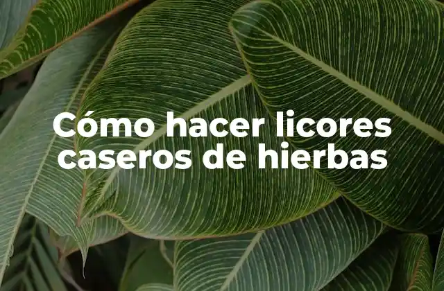 Cómo Hacer Licores Caseros de Hierbas