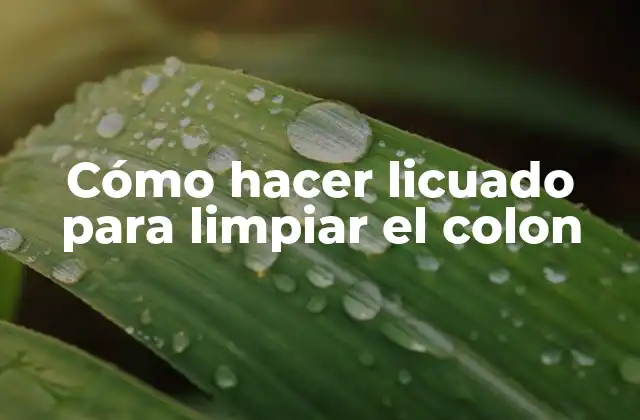 Cómo Hacer Licuado para Limpiar el Colon