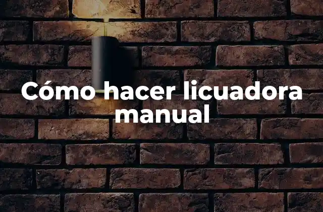 Cómo Hacer Licuadora Manual
