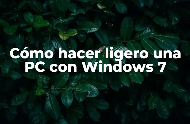 ¿Qué es un PC ligero y para qué sirve?