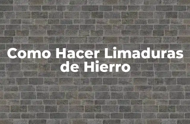 ¿Qué son las Limaduras de Hierro?