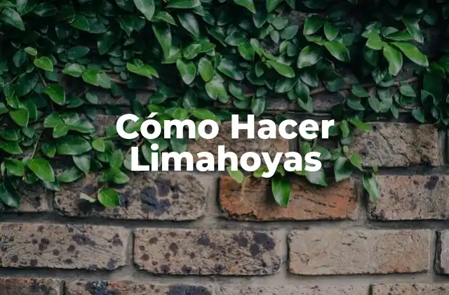 Cómo Hacer Limahoyas
