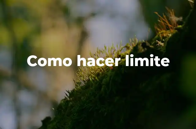Como Hacer Limite 16 ¿Qué es un límite y para qué sirve?
