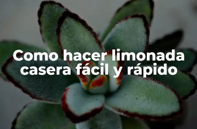 Como Hacer Limonada Casera Fácil y Rápido