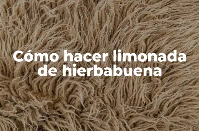 Cómo Hacer Limonada de Hierbabuena 2 La limonada de hierbabuena