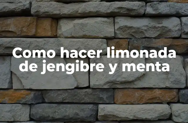 Como Hacer Limonada de Jengibre y Menta 2 ¿Qué es la limonada de jengibre y menta?