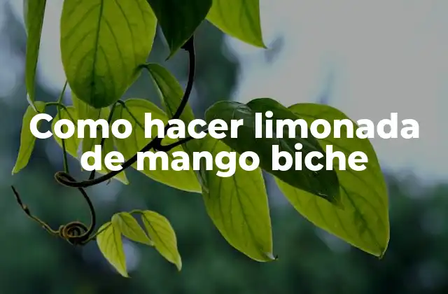 Como Hacer Limonada de Mango Biche