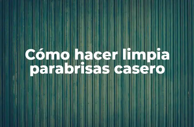 Cómo Hacer Limpia Parabrisas Casero