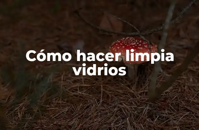 Cómo hacer limpia vidrios