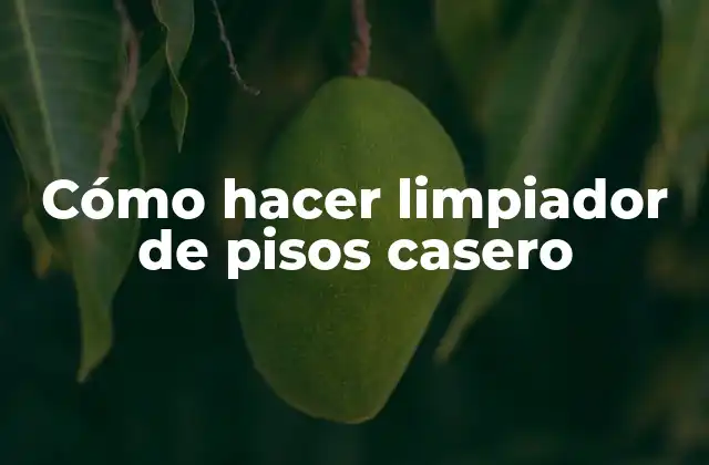 Cómo Hacer Limpiador de Pisos Casero