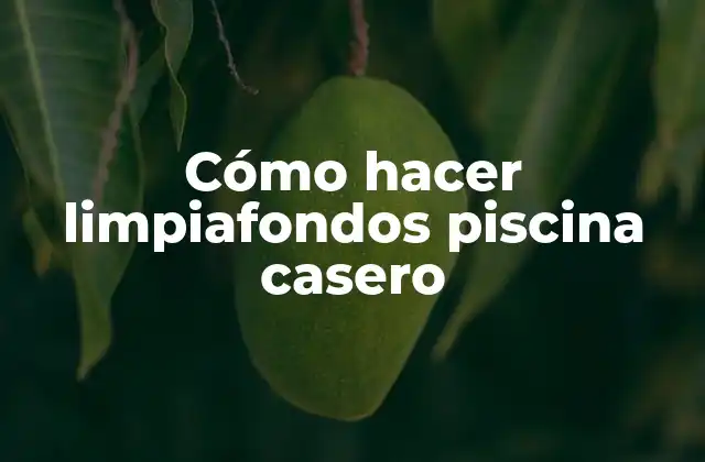 Cómo Hacer Limpiafondos Piscina Casero