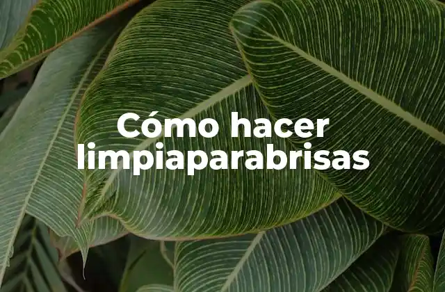 Cómo Hacer Limpiaparabrisas