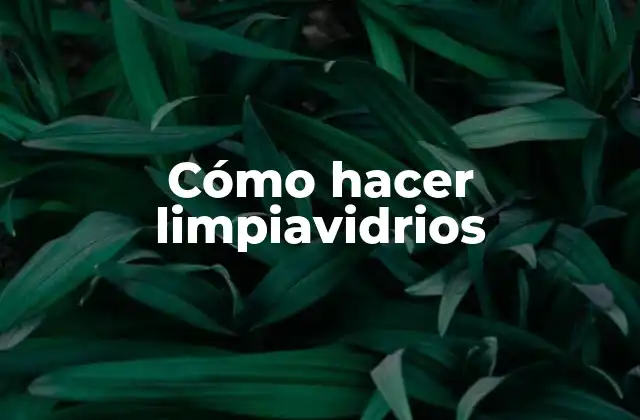 Cómo Hacer Limpiavidrios
