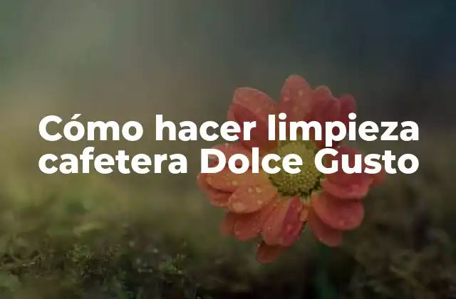 Cómo Hacer Limpieza Cafetera Dolce Gusto