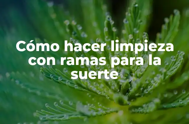 Cómo hacer limpieza con ramas para la suerte