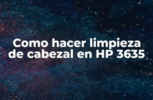 Como Hacer Limpieza de Cabezal en Hp 3635