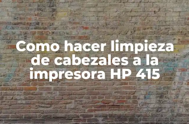 Como Hacer Limpieza de Cabezales a la Impresora Hp 415